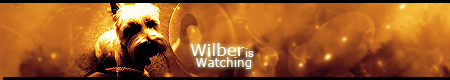 Wilber3.png