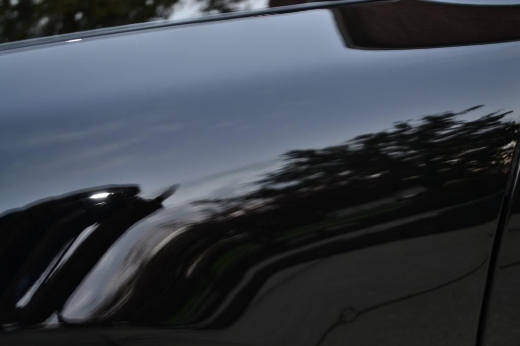 DSC_0212_zps0ffd0cc5.jpg