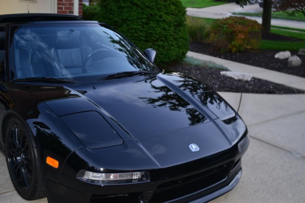 DSC_0222_zps4f76e41c.jpg