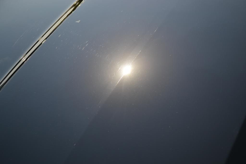 DSC_0260_zps1b5a2104.jpg
