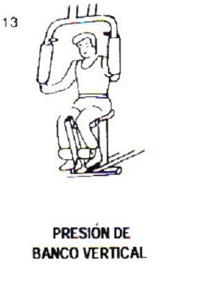 ejercicios físicos ejercicios físicos