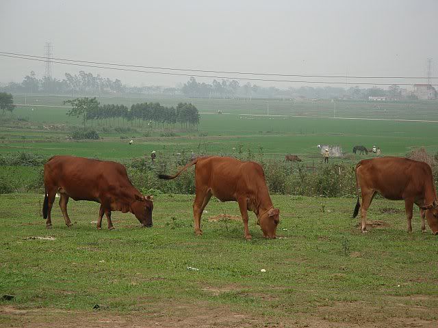 DSC04848.jpg