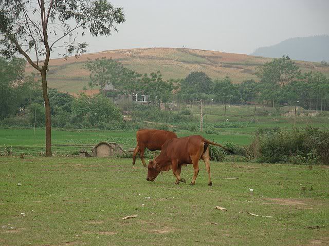 DSC04849.jpg