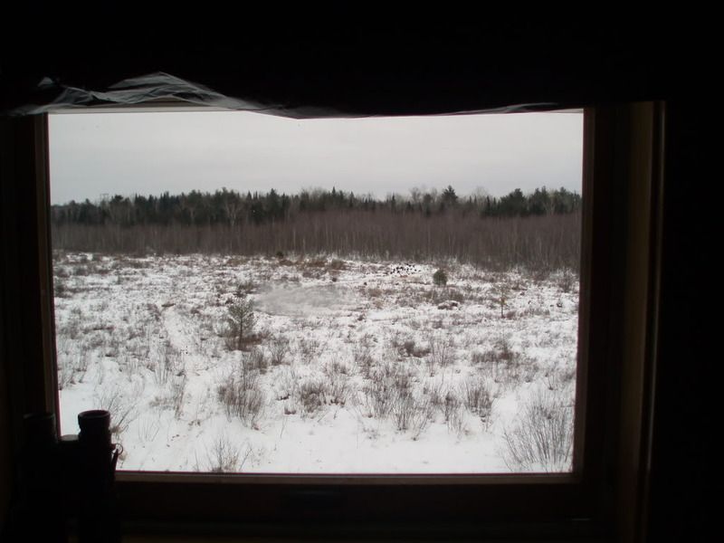 Picture003.jpg