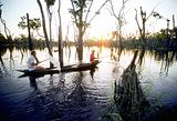 53786ff7h782320243f5d.jpg image by luxuryFridayfriend