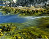 7013546_1262146307Se4n.jpg image by luxuryFridayfriend