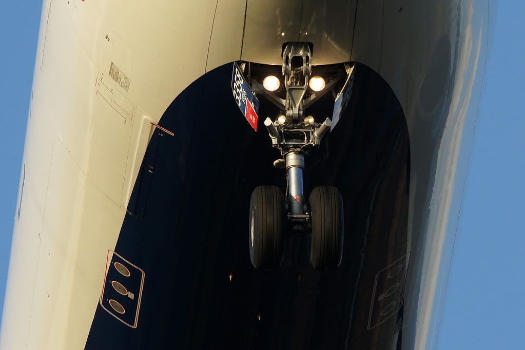 http://i828.photobucket.com/albums/zz210/SEC_photos/483DeltaA330NoseGear.jpg